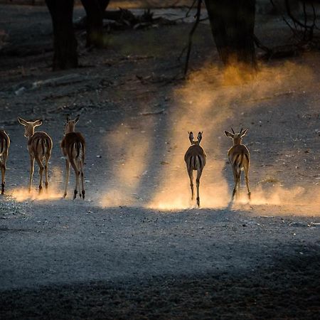 Gabus Safari Lodge Otavi Luaran gambar