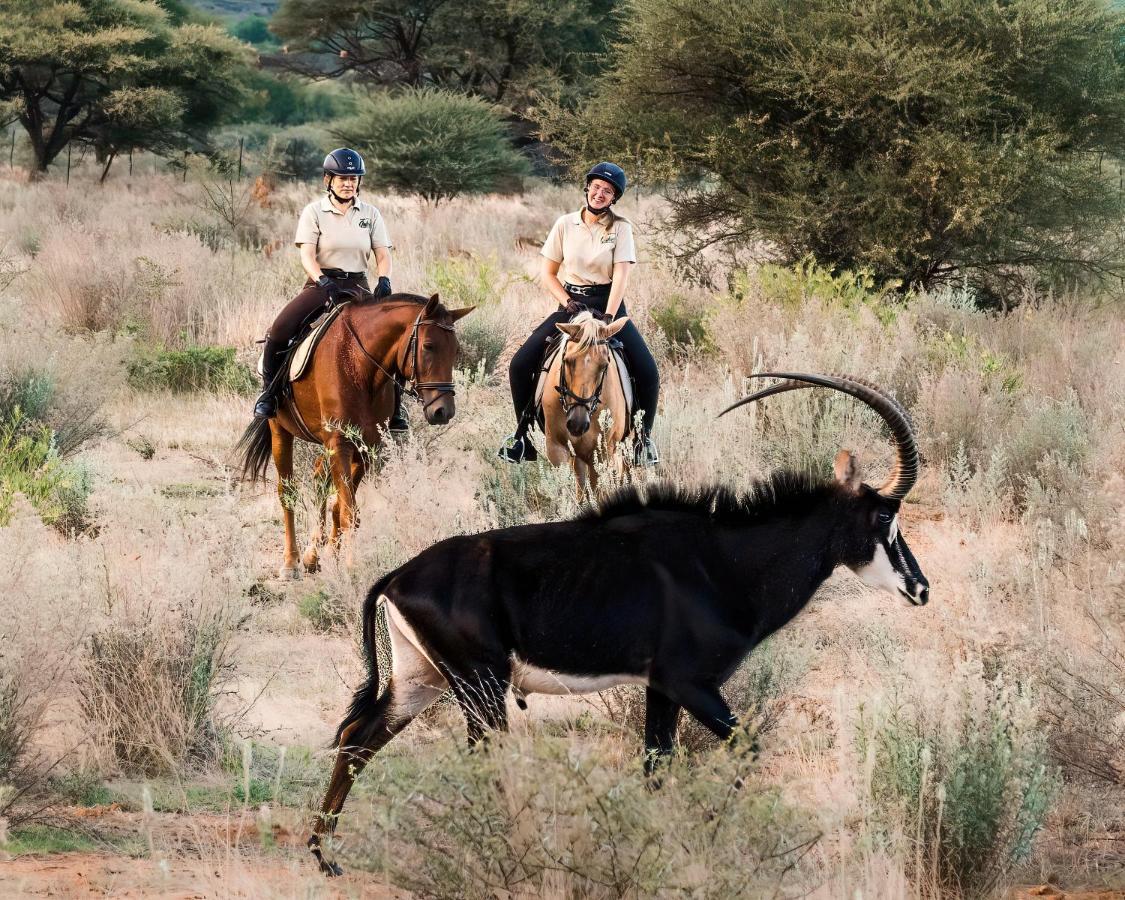Gabus Safari Lodge Otavi Luaran gambar
