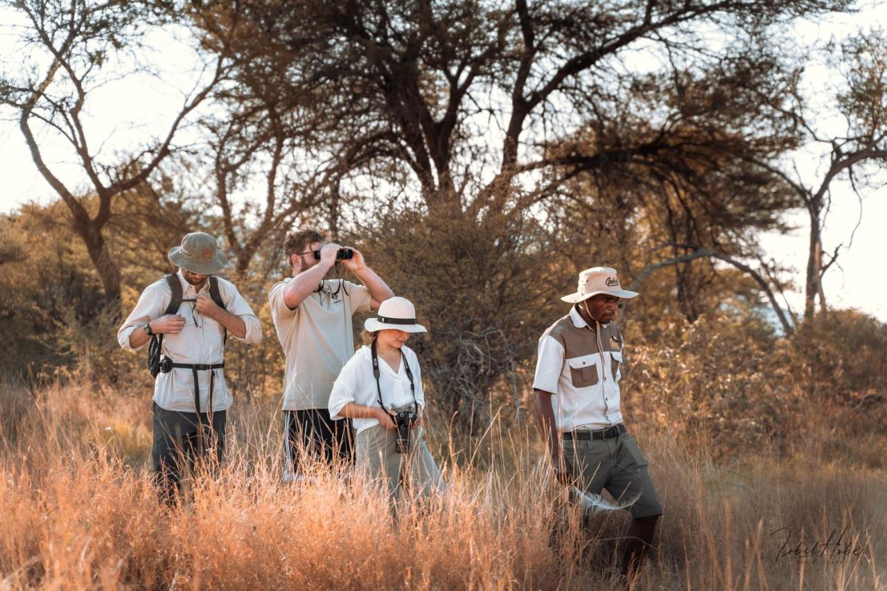 Gabus Safari Lodge Otavi Luaran gambar